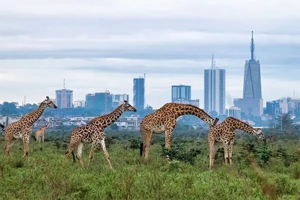 Kenya